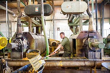 Man working at soybean oil plant