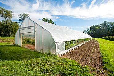 Greenhouse