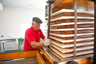 Apples, apple juice and cider press at a hard cider distillery