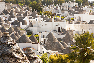 Panoramic view of trulli houses, Alberobello, province of Bari, in the Puglia region, Italy