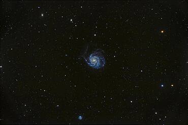 Messier 101, the Pinwheel Galaxy in Ursa Major, a classic face-on spiral galaxy, large and obvious in binoculars.  The odd galaxy at bottom is NGC 5474.