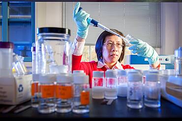 Scientist working in Lab