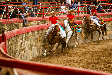 Riding around the arena,