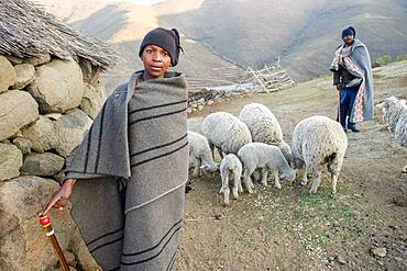 Young boy and a man with their sheep in their village in Lesotho, Africa