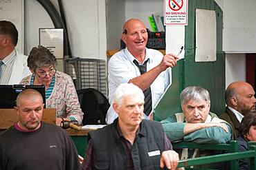 Auctioneer at a Hawes Sheep Auction in Yorkshire, England, UK.