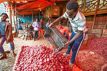 Addis Ababa, Ethiopia- Onions for sale at the Addis Mercato, the largest open air market in Africa.