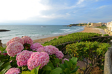 Sunset in Biarritz