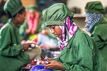 Meki Batu, Ethiopia - Female workers peeling onions for added value at the Fruit and Vegetable Growers Cooperative in Meki Batu.