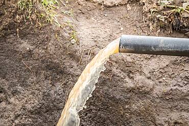 Meki Batu, Ethiopia - Irrigation system for the fields at the Fruit and Vegetable Growers Cooperative in Meki Batu.