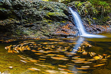 waterfall in Huzmeana creek. Saja-Besaya Natural Park. Cantabria, Spain, Europe.