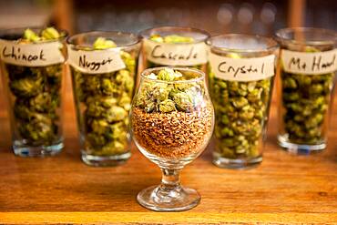 Various types of hops