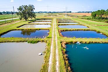 Algae colors the water in aquaculture ponds at the University of Georgia Tifton Campus Coastal Plain Experiment Station