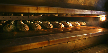 baker at work