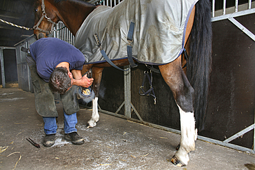 Farrier at work