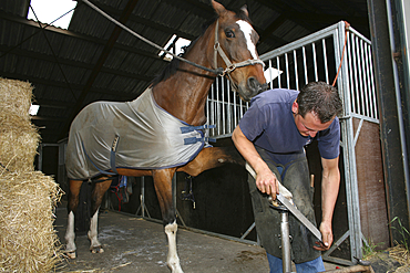 Farrier at work