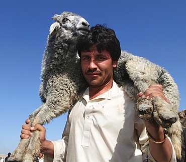 Animal market in Mazar-i-sharif, Afghanistan