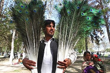 peacock feather seller at the bazaar in Mazar-i-sharif, Afghanistan