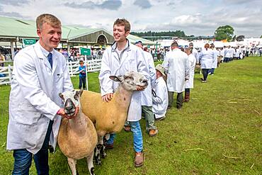 Great Yorkshire Show, Harrogate, Yorkshire, UK