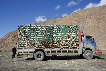 chicken truck in Afghanistan