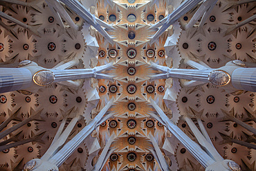 Interior of Basilica Sagrada Familia,nave, Barcelona, Catalonia, Spain