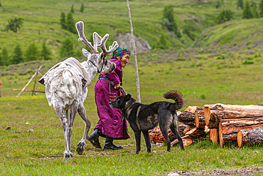 Turkic community of Semi Nomadic reindeer herders living in the northernmost province of Mongolia