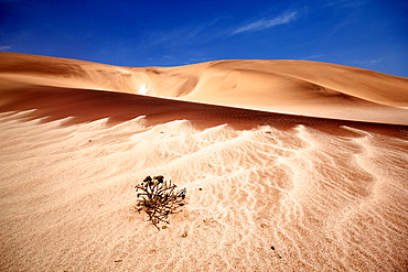 Red Garnet Sands near Swakopmund, Namibia