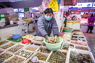 Shanghai, China, 26th Jan 2020, A store vendor wearing a masks handles shellfish with hands at seafood market