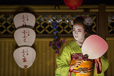 Fukunae,'maiko' (geisha apprentice)working in a tea house.Geisha's distric of Gion.Kyoto. Kansai, Japan.