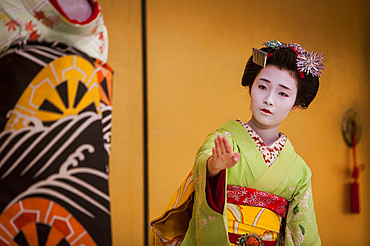 Show of Maikos,(geisha apprentices)they interpret Kyomai, is a Kyoto dance,at Gion Kobu Kaburenjo, geisha's distric of Gion, ,Kyoto. Kansai, Japan.