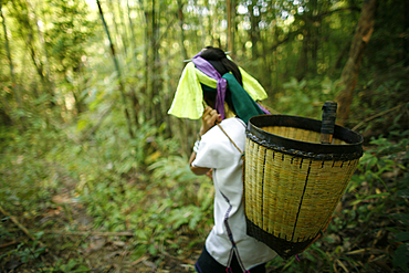 Life of a young girl of the Longneck tribe in Myanmar