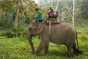 Life of a young girl of the Longneck tribe in Myanmar