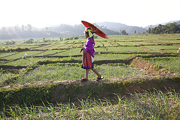 Life of a young girl of the Longneck tribe in Myanmar