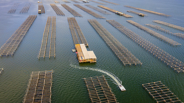 In Fangar Bay mussels and oysters are farmed. Ebro Delta Nature Reserve, Tarragona, Catalonia, Spain.