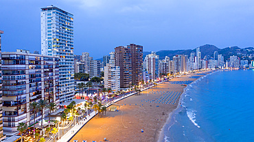 Aerial view of the Levante beach and the skyline by night. Benidorm. Alicante. Valencia Community. Spain