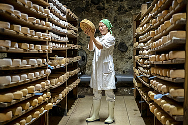 Elena at work, controlling the ripening process. Cheese shop, Formatgeria Mas dﾴEroles, artisan cheese making, Adrall village, Alt Urgell, Lleida, Catalonia, Spain