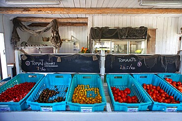 Fresh tomatoes in Isaksson���s farm on the road to the Korpo ferry in Houtskv�r in an array of colours at the farm shop. There are no staff here, simply weigh your vegetables and place the appropriate amount in the moneybox. Southwest Finland archipelago near Kustavin Savipaja. The archipelago ring road or Saariston rengastie is full of things to see, do and do. The Archipelago Trail can be taken clockwise or counter clockwise, starting in the historical city of Turku, and continuing through rural archipelago villages and astonishing Baltic Sea sceneries. The Trail can be taken from the beginning of June until the end of August.