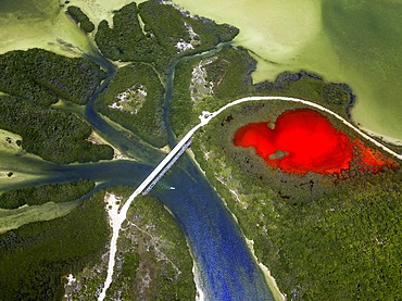 Aerial view of Punta Allen Sian Ka'an Reserve, Yucatan Peninsula, Mexico. Red lagoon near Boca Paila Bridge.

In the language of the Mayan peoples who once inhabited this region, Sian Ka'an means Origin of the Sky. Located on the east coast of the Yucatán peninsula, this biosphere reserve contains tropical forests, mangroves and marshes, as well as a large marine section intersected by a barrier reef. It provides a habitat for a remarkably rich flora and a fauna comprising more than 300 species of birds, as well as a large number of the region's characteristic terrestrial vertebrates, which cohabit in the diverse environment formed by its complex hydrological system.

Along its roughly 120 kilometres of coastline, the property covers over 400,000 hectares of land ranging from sea level to only ten m.a.s.l. The property boasts diverse tropical forests, palm savannah, one of the most pristine wetlands in the region, lagoons, extensive mangrove stands, as well as sandy beaches and dunes. The 120,000 hectares of marine area protect a valuable part of the Mesoamerican Barrier Reef and seagrass beds in the shallow bays. The lush green of the forests and the many shades of blue of the lagoons and the Caribbean Sea under a wide sky offer fascinating visual impressions.