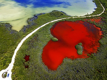 Aerial view of Punta Allen Sian Ka'an Reserve, Yucatan Peninsula, Mexico. Red lagoon near Boca Paila Bridge.

In the language of the Mayan peoples who once inhabited this region, Sian Ka'an means Origin of the Sky. Located on the east coast of the Yucatán peninsula, this biosphere reserve contains tropical forests, mangroves and marshes, as well as a large marine section intersected by a barrier reef. It provides a habitat for a remarkably rich flora and a fauna comprising more than 300 species of birds, as well as a large number of the region's characteristic terrestrial vertebrates, which cohabit in the diverse environment formed by its complex hydrological system.

Along its roughly 120 kilometres of coastline, the property covers over 400,000 hectares of land ranging from sea level to only ten m.a.s.l. The property boasts diverse tropical forests, palm savannah, one of the most pristine wetlands in the region, lagoons, extensive mangrove stands, as well as sandy beaches and dunes. The 120,000 hectares of marine area protect a valuable part of the Mesoamerican Barrier Reef and seagrass beds in the shallow bays. The lush green of the forests and the many shades of blue of the lagoons and the Caribbean Sea under a wide sky offer fascinating visual impressions.