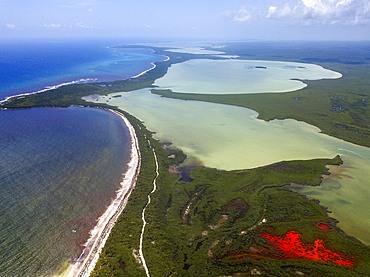 Aerial view of Punta Allen Sian Ka'an Reserve, Yucatan Peninsula, Mexico. Red lagoon near Boca Paila Bridge.

In the language of the Mayan peoples who once inhabited this region, Sian Ka'an means Origin of the Sky. Located on the east coast of the Yucatán peninsula, this biosphere reserve contains tropical forests, mangroves and marshes, as well as a large marine section intersected by a barrier reef. It provides a habitat for a remarkably rich flora and a fauna comprising more than 300 species of birds, as well as a large number of the region's characteristic terrestrial vertebrates, which cohabit in the diverse environment formed by its complex hydrological system.

Along its roughly 120 kilometres of coastline, the property covers over 400,000 hectares of land ranging from sea level to only ten m.a.s.l. The property boasts diverse tropical forests, palm savannah, one of the most pristine wetlands in the region, lagoons, extensive mangrove stands, as well as sandy beaches and dunes. The 120,000 hectares of marine area protect a valuable part of the Mesoamerican Barrier Reef and seagrass beds in the shallow bays. The lush green of the forests and the many shades of blue of the lagoons and the Caribbean Sea under a wide sky offer fascinating visual impressions.