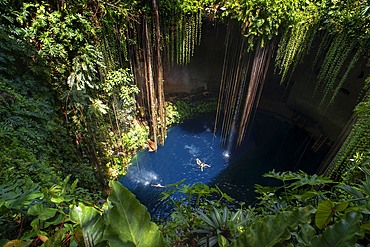 Swimming at Cenote Ik Kil in Yucatan, Mexico, a natural pit, or sinkhole near Chichen Itza. Yucatan Peninsula, Quintana Roo, Mexico. Ik Kil was sacred to the Mayans who used this cenote for both relaxation and ritual services centuries ago.