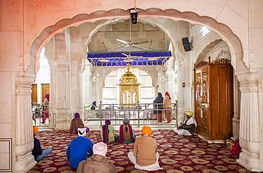 Interior of golden temple, Amritsar, Punjab, India