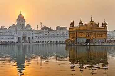 Golden temple, Amritsar, Punjab, India