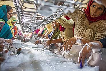 Volunteers cleaning dishes, Each day eat 60,000 - 80,000 pilgrims in Golden Temple, Golden temple, Amritsar, Punjab, India