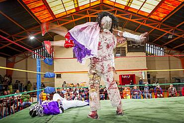 Lucha Libre. Angela la Simpatica and La Momia fighting, males and cholitas females wrestlers in combat, Sports center La Ceja, El Alto, La Paz, Bolivia