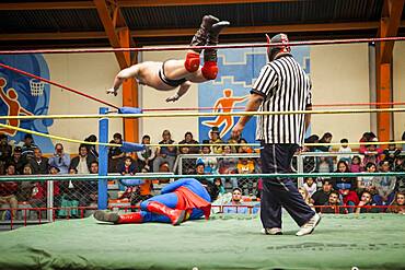 Lucha Libre. Wrestlers in combat, and referee, Sports center La Ceja, El Alto, La Paz, Bolivia