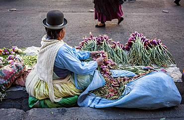 Mercado Rodriguez (Rodriguez market), La Paz, Bolivia