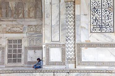 Exterior wall of Taj Mahal, UNESCO World Heritage Site, Agra, Uttar Pradesh, India