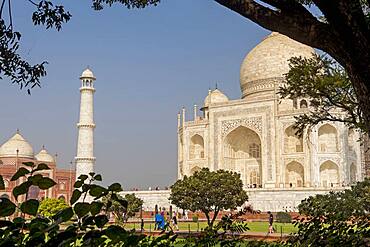 Taj Mahal, UNESCO World Heritage Site, Agra, Uttar Pradesh, India