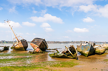 Boat graveyard in Pin Mill, Ipswich, Suffolk, England, United Kingdom, Europe