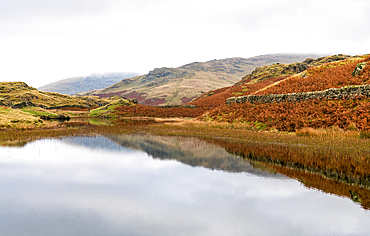 Alcock Tarn, near Grasmere, Lake District National Park, UNESCO World Heritage Site, Cumbria, England, United Kingdom, Europe